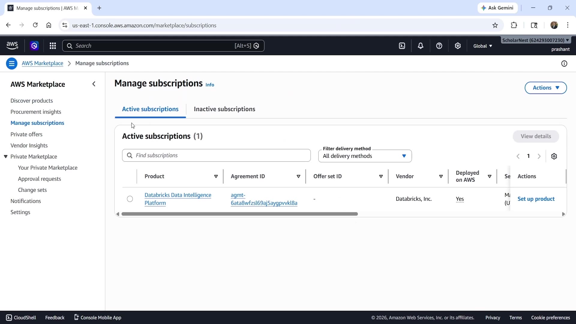 Databricks active subscription