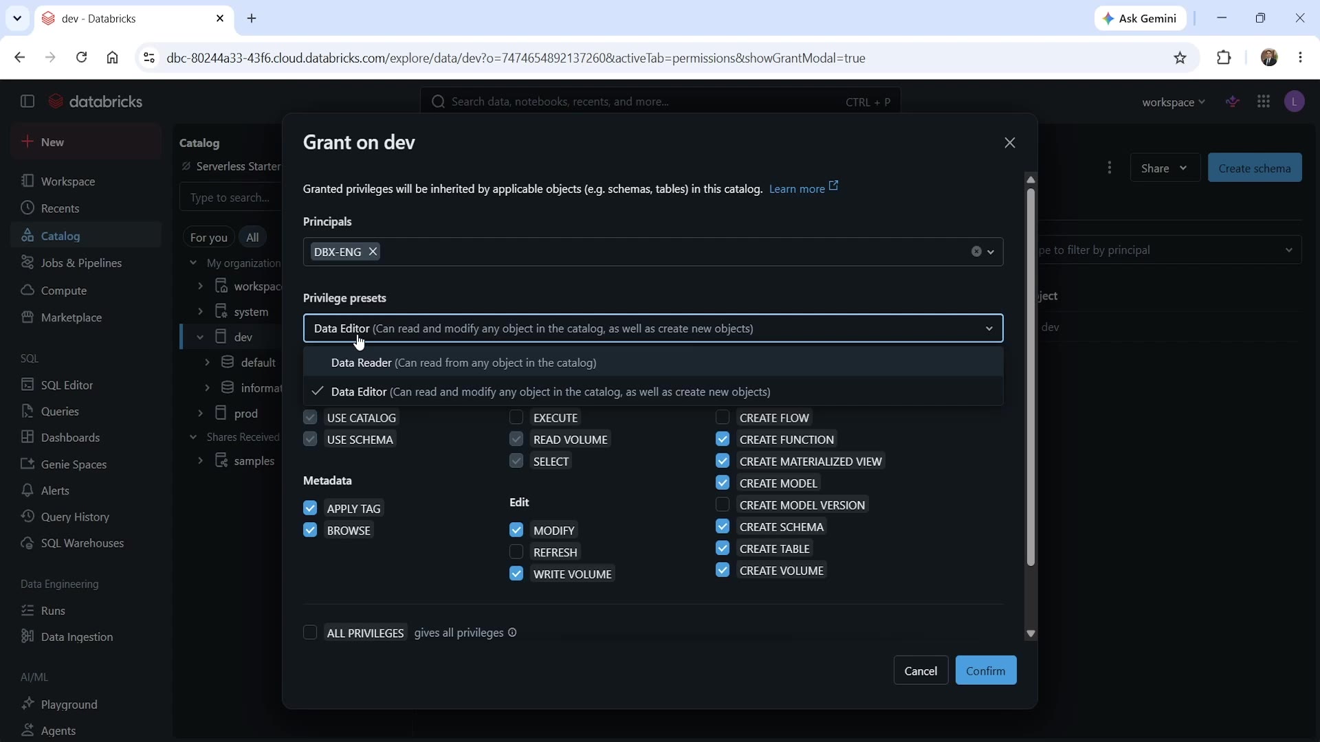 Grant dialog with privilege presets