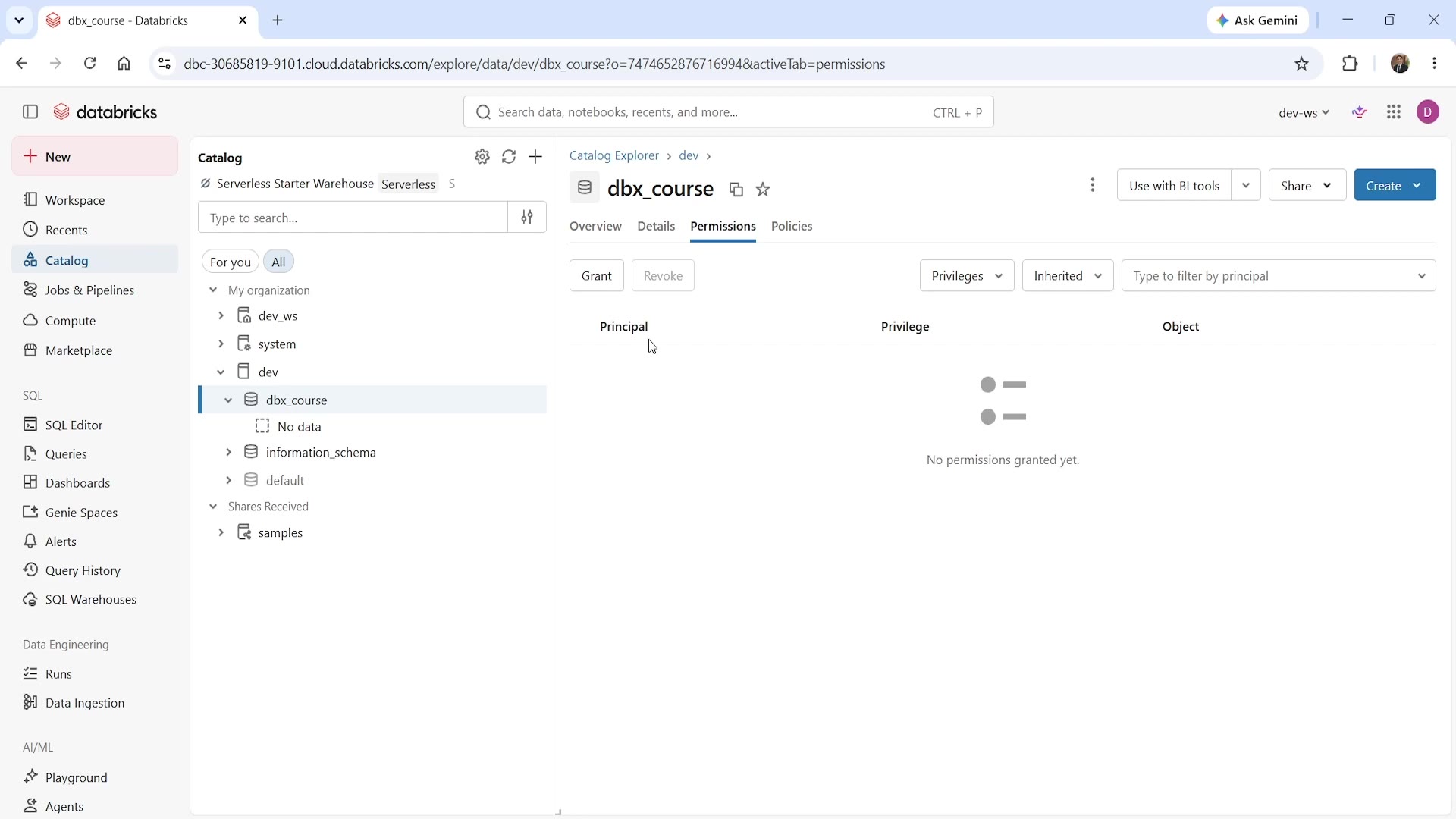 Schema-level Permissions tab — no permissions granted yet